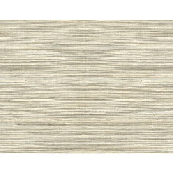 Baja Grass Brown Texture Paper Strippable Roll Wallpaper (Covers 60.8 sq. ft.)