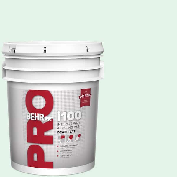 5 gal. #480C-1 Light Mint Dead Flat Interior Paint