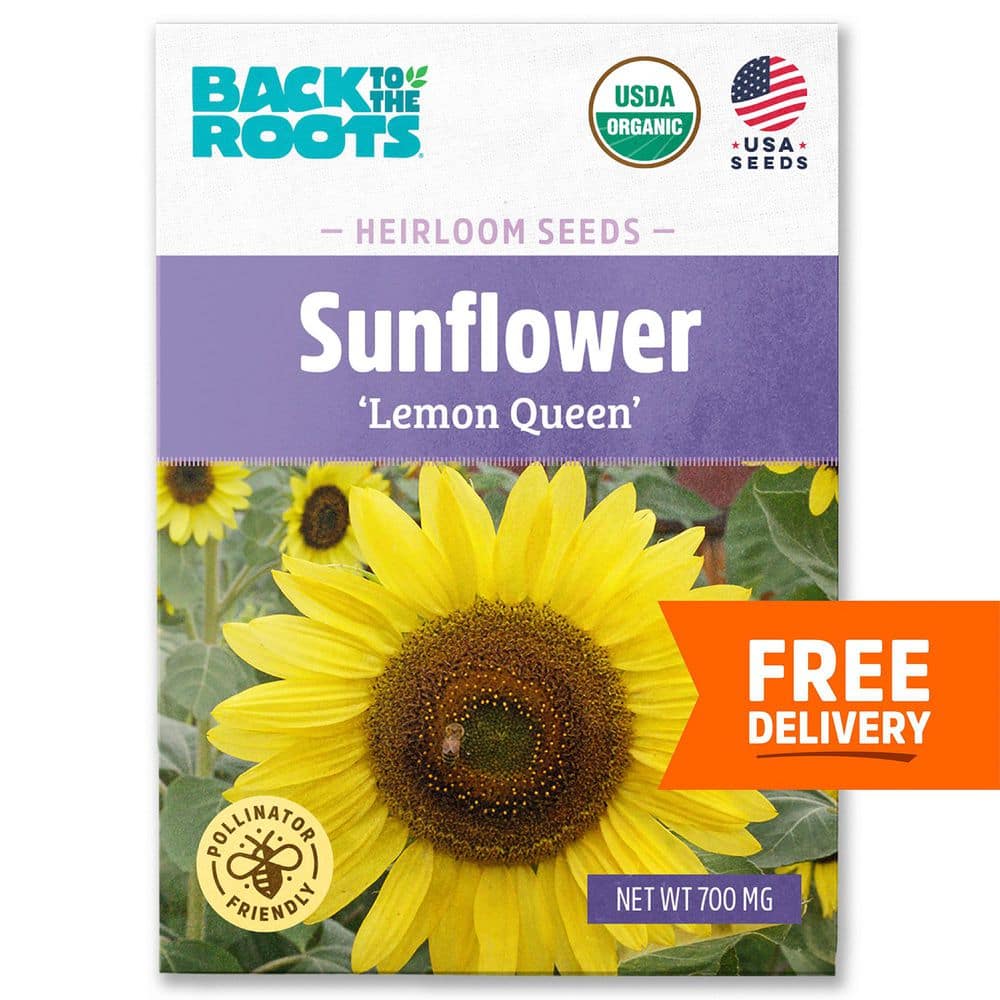 Organic Lemon Queen Sunflower Seed (1-Pack) price history on PriceWatchPro