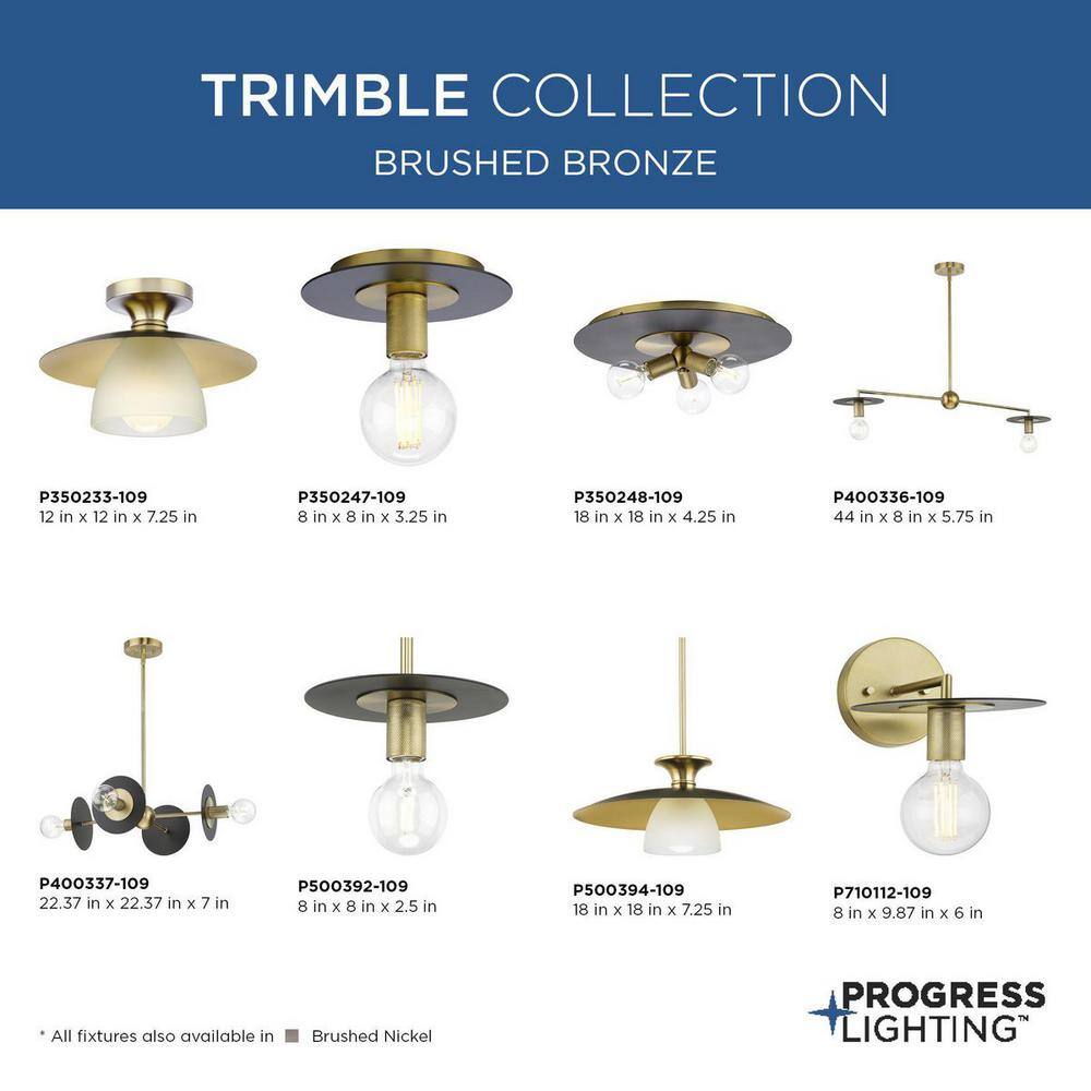 Trimble Brushed Bronze Sputnik 4-Light Chandelier