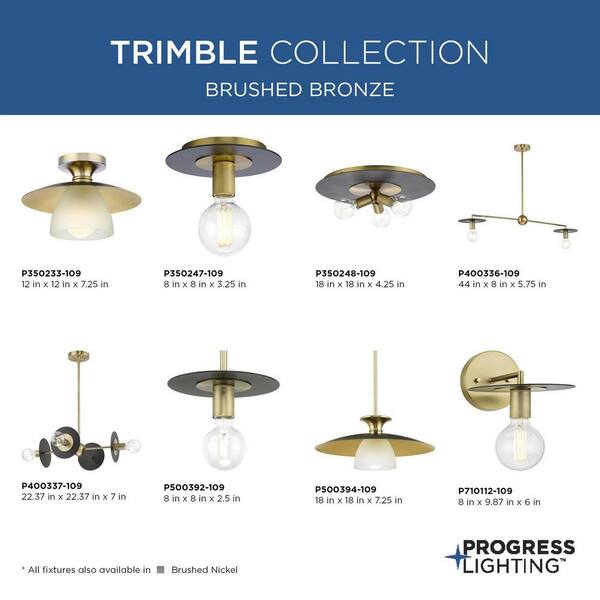 Progress Lighting Trimble 4-Light Brushed Bronze Linear Chandelier