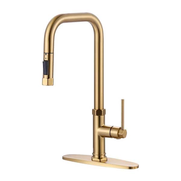 Single Handle Pull Down Sprayer Kitchen Faucet with 2-Mode Sprayer in Brushed Gold