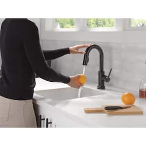 Trinsic Single-Handle Pull-Down Sprayer Bar Faucet Featuring Touch2O Technology in Matte Black