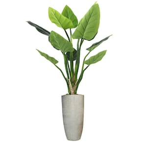 Artificial Faux Real Touch 5.67 ft. Tall Philodendron Erubescens with Fiberstone Planter