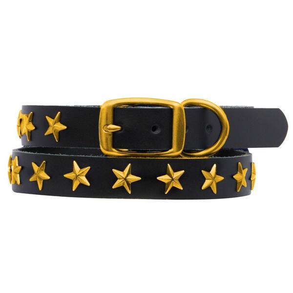 Platinum Pets 15 in. Black Genuine Leather Dog Collar in Gold Stars