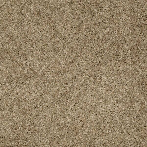 SoftSpring Carpet Sample - Cozy - Color Hazelnut Texture 8 in. x 8 in.