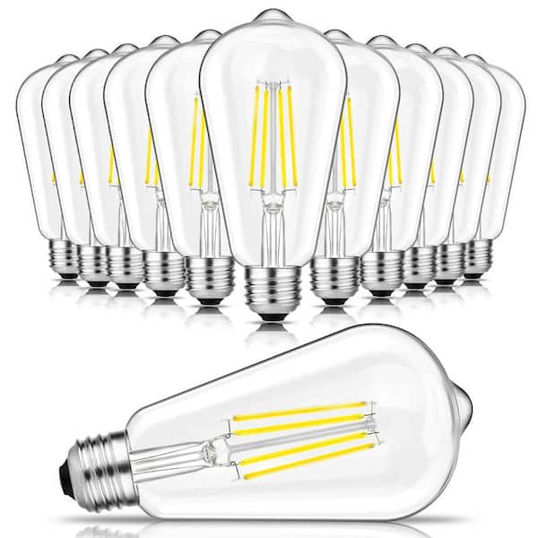 ZXXC Clear Glass Style 60-Watt Equivalent ST58 Dimmable