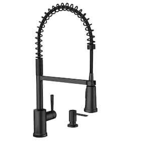 Indi Single-Handle Pre-Rinse Spring Pulldown Sprayer Kitchen Faucet with Power Clean in Matte Black