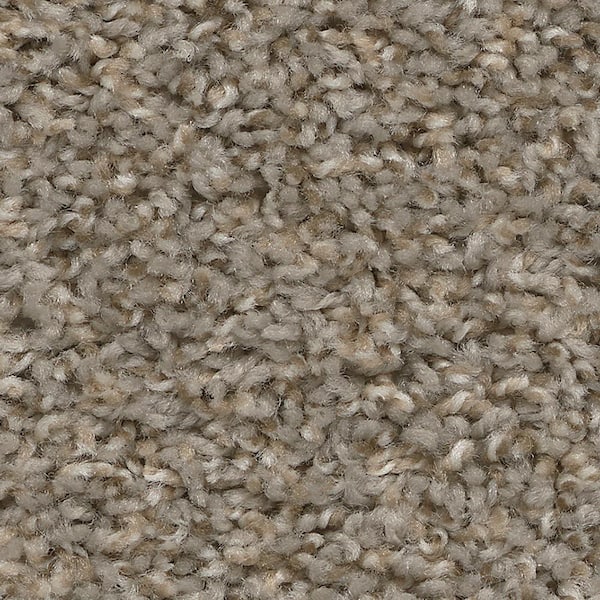 Sd Polyester Texture Installed Carpet