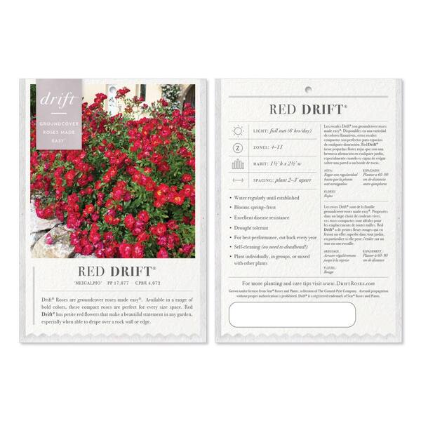 Drift 3 Gal. Red Drift Rose Bush with Red Flowers 11591
