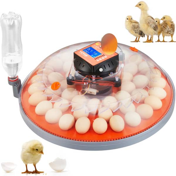 Buy Wholesale China Hot Sale Residential Chicken Egg Steamer 7