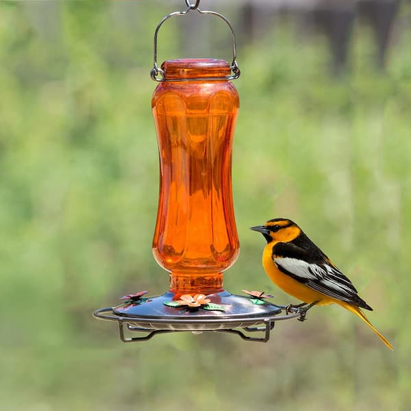 Orange Carnival Decorative Glass Oriole Nectar Feeder - 16 oz. Capacity