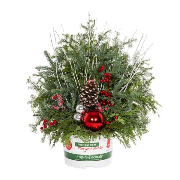 1.5 Gal. 10 in. Traditional Red Holiday Greenery Arrangement in Drop-in Container with Cut Greenery Live Plant