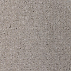 8 in. x 8 in. Pattern Carpet Sample - Tailgate Classic - Color Fairlane