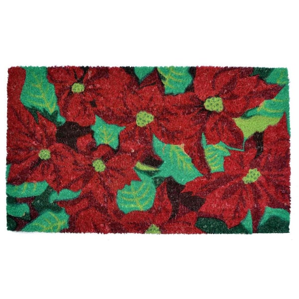 HomeRoots Multi-Colored 30 in. x 18 in. Coir Non-Slip Indoor/Outdoor Door Mat