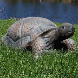 20 in. Tanya the Tortoise Indoor-Outdoor Lawn and Garden Statue