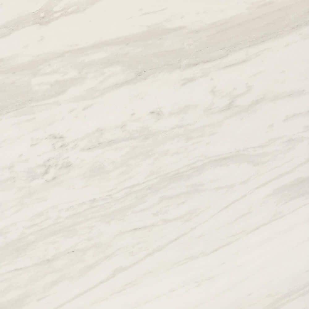 Perpetuo Timeless White 24 in. x 24 in. Polished Porcelain Floor and Wall Tile (15.21 sq. ft. /case) price history on PriceWatchPro
