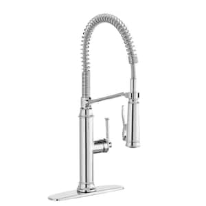 Linscott Single-Handle Coil Springneck Pull-Down Sprayer Kitchen Faucet in Chrome