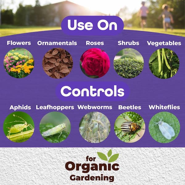 All Seasons Horticultural and Dormant Spray Oil, 128 oz Concentrate, Disease Prevention and Insect Killer