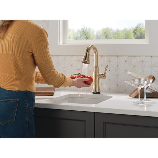 Delta Cassidy Gold Touch2O with Touchless Technology Single Handle