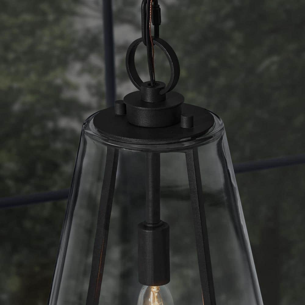 Siobhan Medium Black Metal and Clear Glass Hanging Pendant Light