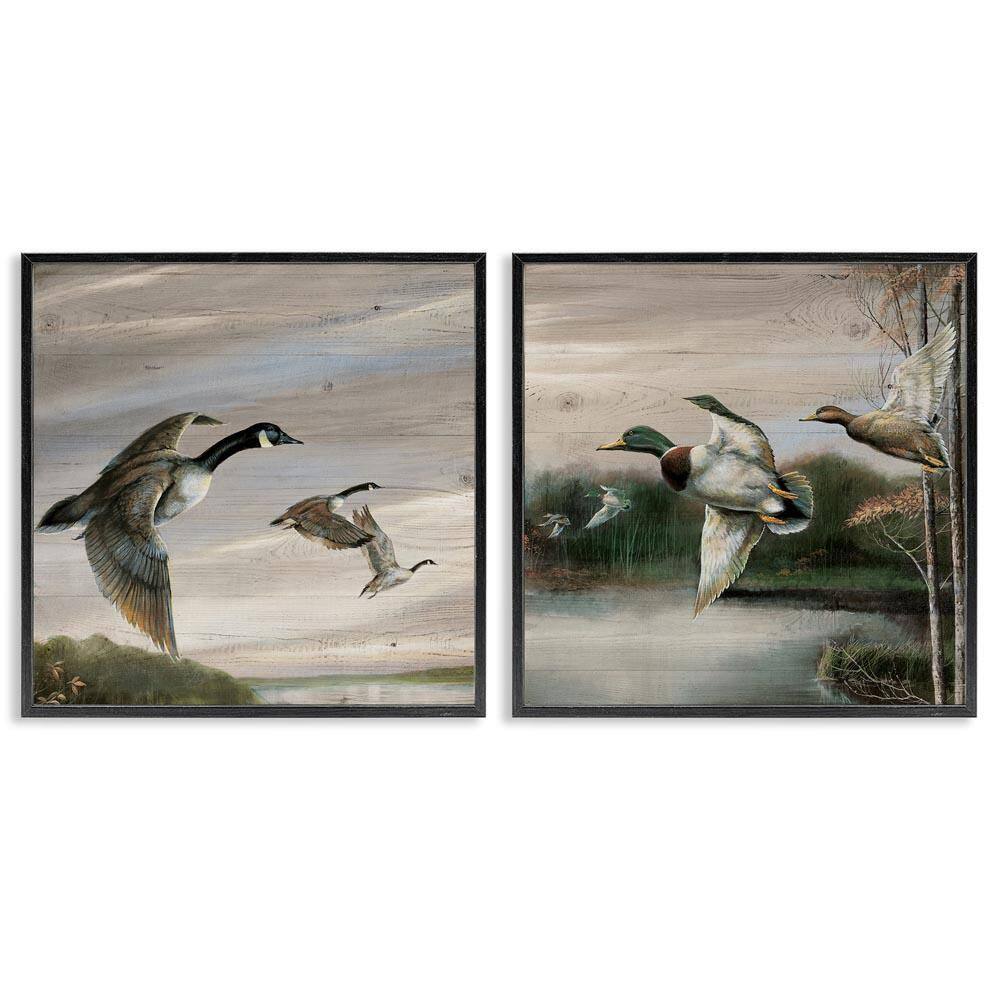 Geese and Ducks in Nature by Ruane Manning 2-Piece Black Framed Animal Giclee Art Print 17 in. x 17 in. price history on PriceWatchPro