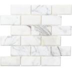 Calacatta Beveled 3 in. x 6 in. Polished Marble Subway Tile Sample