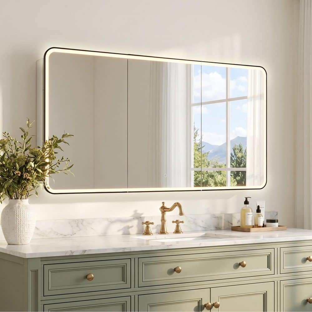Ostaria 60 in. W x 32 in. H Rectangular Aluminum Medicine Cabinet with Mirror price history on PriceWatchPro