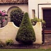 flowerwood-ornamental-trees-4713q-44.5