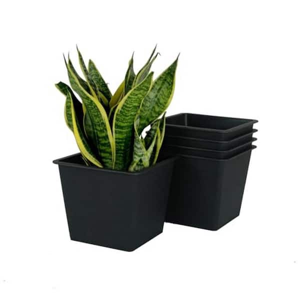 Benjara 7.9 L x 7.9 W x 6.7 H in. Square Black Outdoor Plastic Nursery Planter Pots with Drainage (Set of 5)