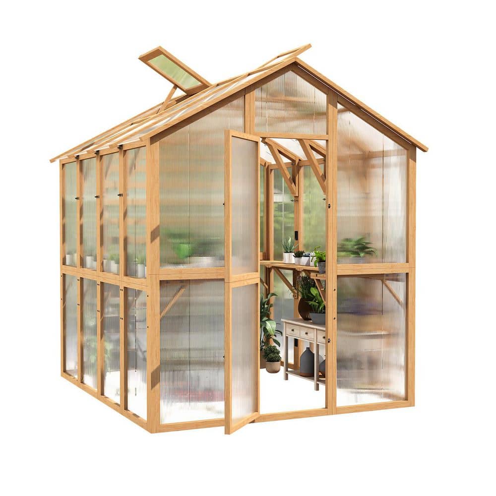 AECOJOY 65 in. W x 79.5 in. D x 82.7 in. H Wood Greenhouse for