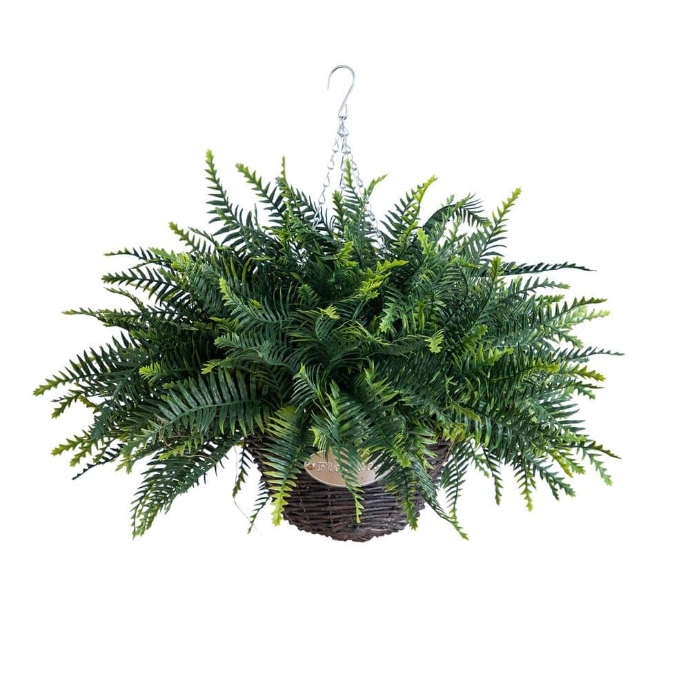 22 in. UV Resistant Artificial Fern in Hanging Basket (Indoor/Outdoor) - Set of 2 price history on PriceWatchPro