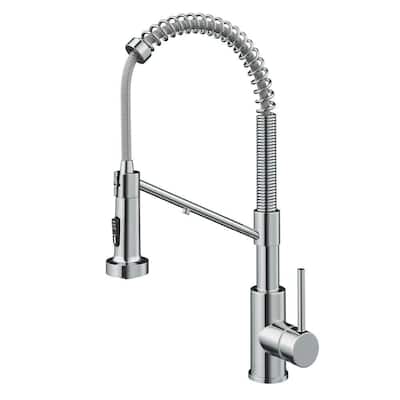 Bolden Single-Handle , Pull-Down Sprayer Kitchen Faucet Water Filtration System in Chrome