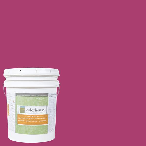 Colorhouse 5 gal. Petal .04 Flat Interior Paint