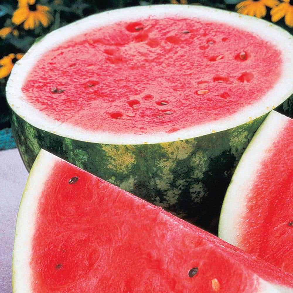 Watermelon Rattlesnake (1 oz. Seed Packet) price history on PriceWatchPro