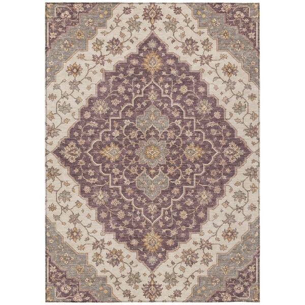 Chantille Machine Washable Indoor/Outdoor Abstract ACN3134 Plum 3 ft. x 5 ft. Area Rug