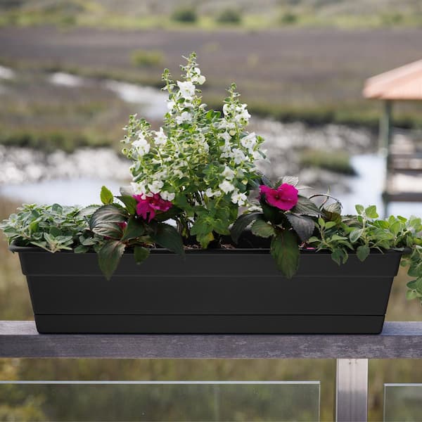 Bloem Dura Cotta 18 in. Black Plastic Window Box Planter with Tray