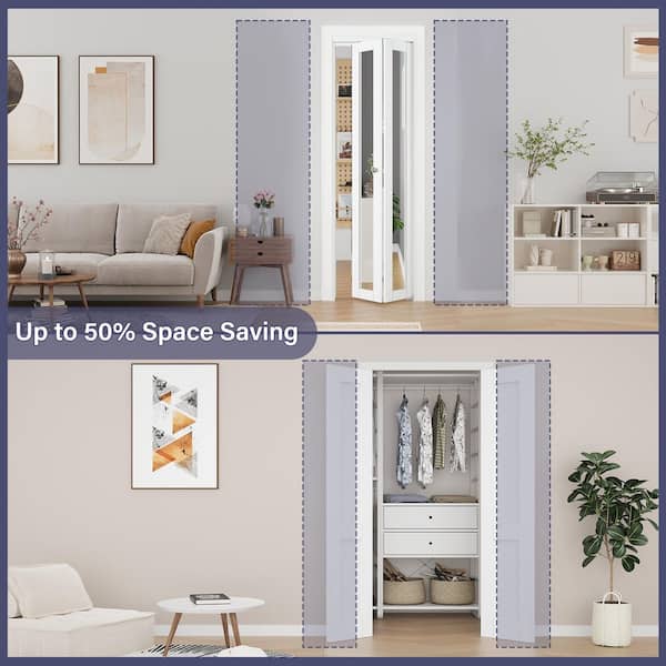 EH PUERTA 64 in. x 80 in. 1-Lite Mirrored Glass and Solid Core