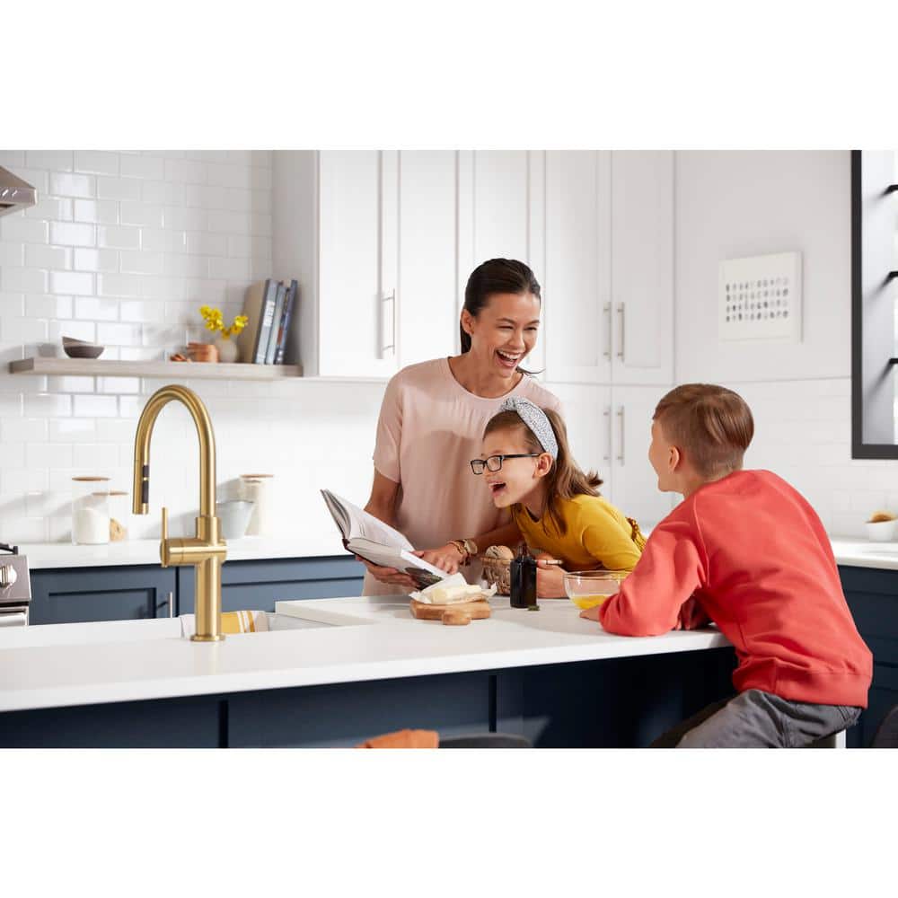 Sophisticated Moderne Brass Regular Kitchen Faucet with Pull-out Spray