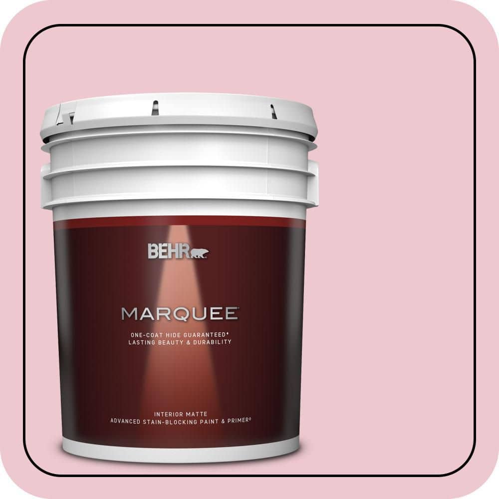 5 gal. #M140-2 Funny Face Matte Interior Paint & Primer price history on PriceWatchPro