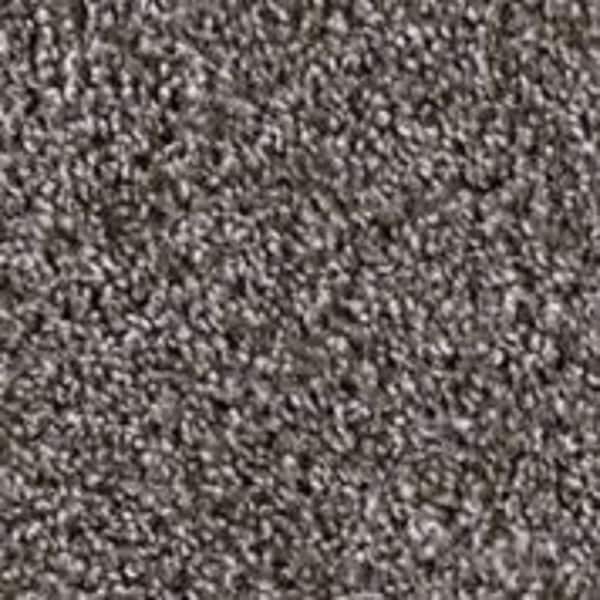 TrafficMaster 8 in. x 8 in. Texture Carpet Sample - Founder -Color Pioneer