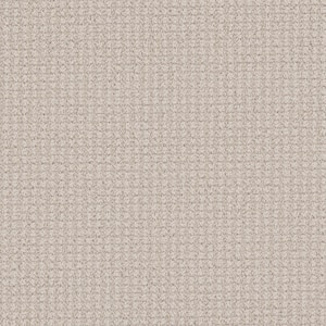 Shooting Star-Celeste White-35 oz. SD Polyester Pattern Installed Carpet