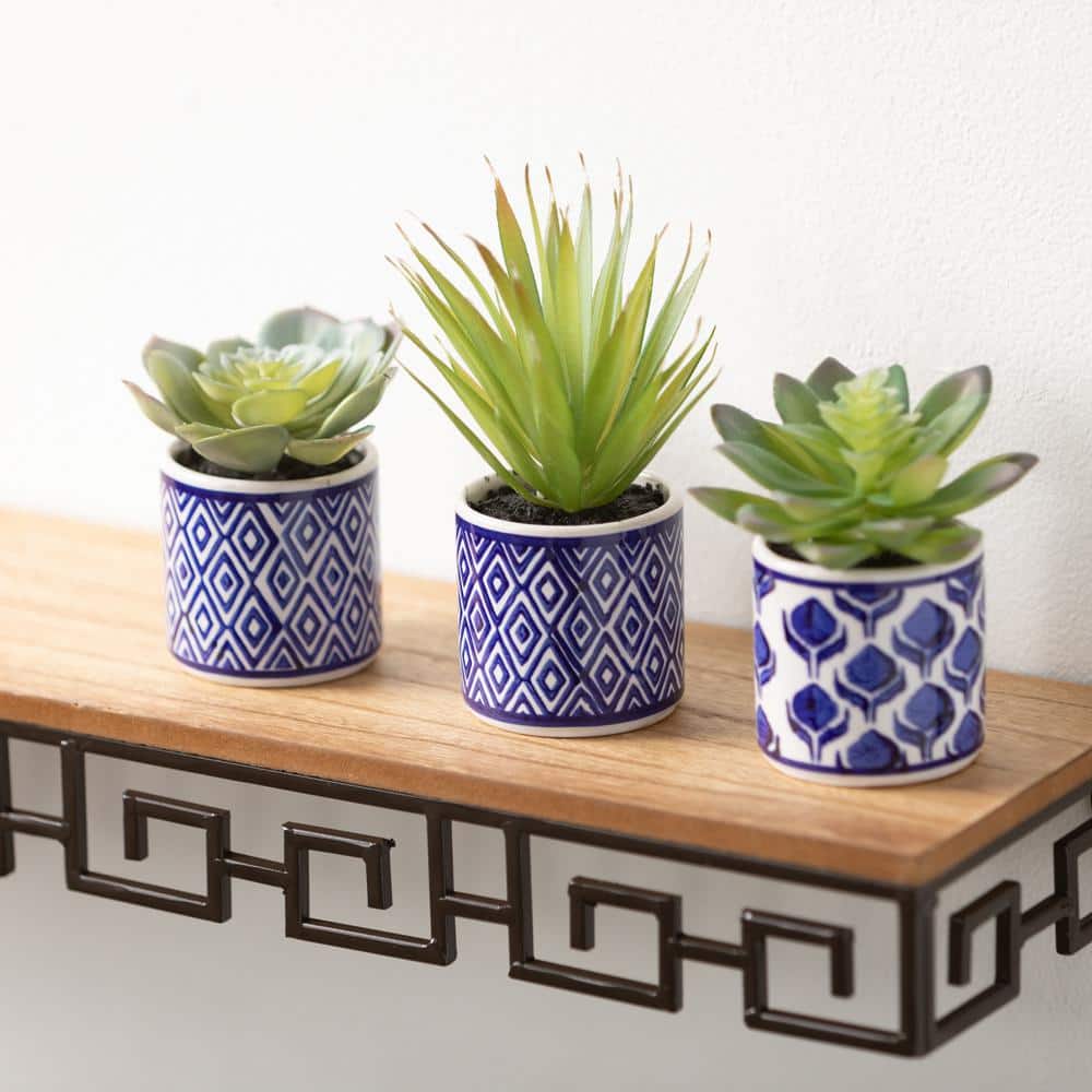 Spring Essence Trio of Artful Succulents in Patterned Pots