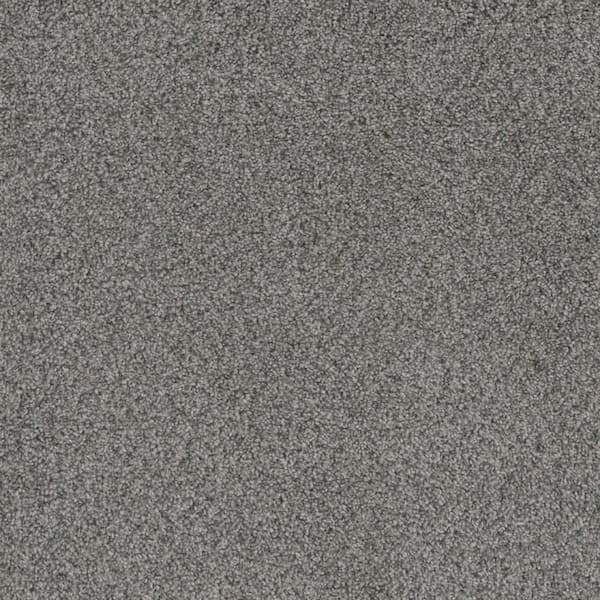 Home Decorators Collection 8 in. x 8 in. Texture Carpet Sample ...