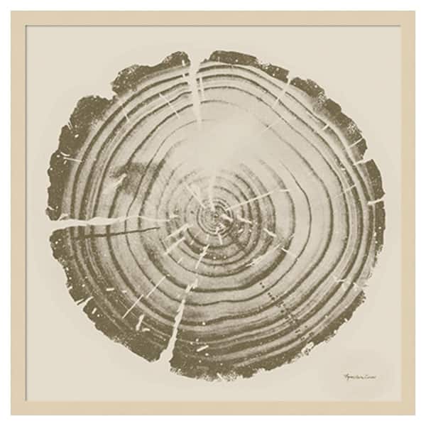 Amanti Art Tree Trunk cream II by Marie Elaine Cusson 25 in. W x 25 in. H. Wood Framed Wall Art Print Framed in Brown