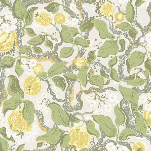 A-Street Prints Kort Green Fruit and Floral Wallpaper Sample