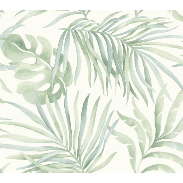 York Wallcoverings Aloe Paradise Palm Non Woven Premium Peel and Stick Wallpaper Approximate 45 sq. ft.