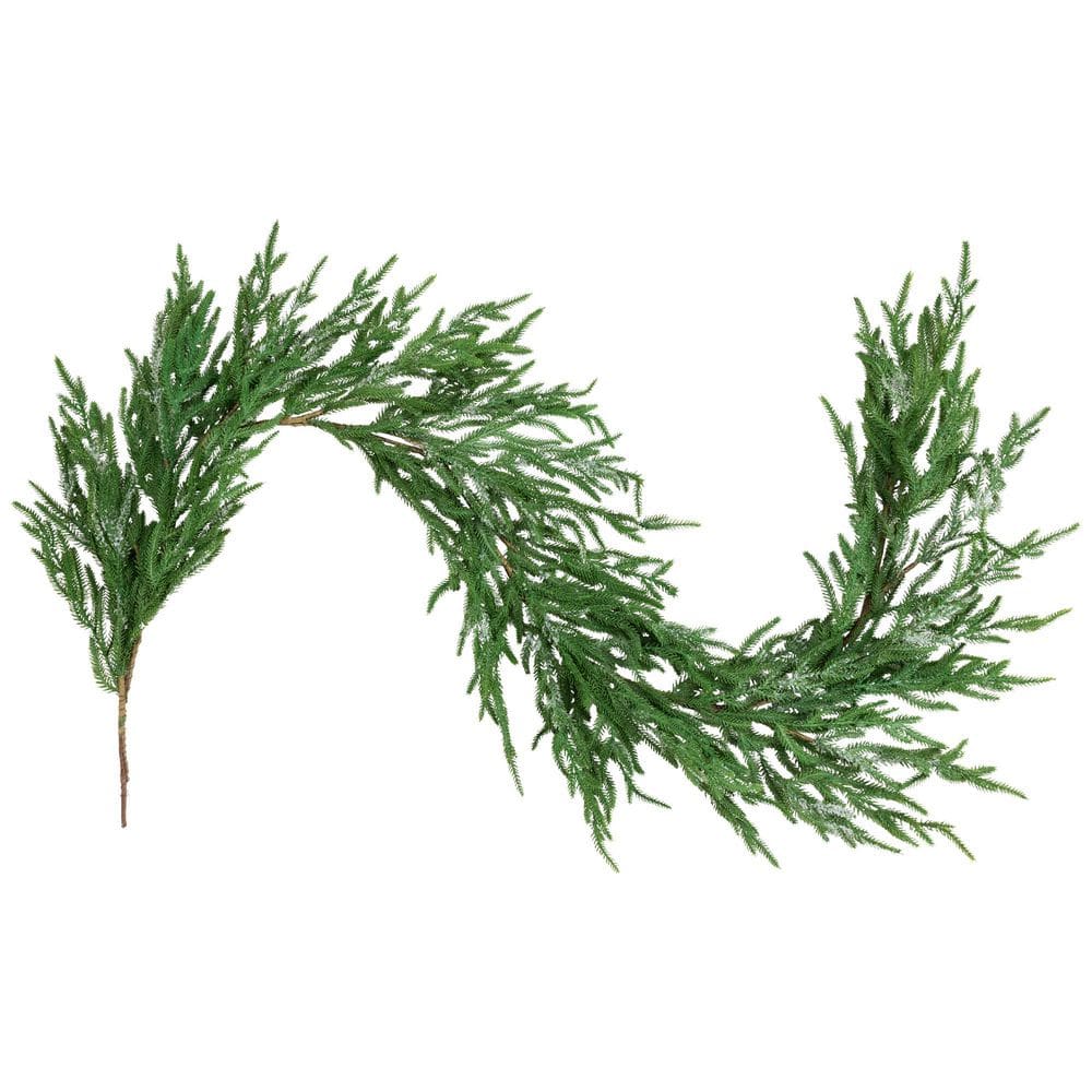 Frosted Norfolk Pine Artificial Christmas Garland - 5' - Unlit price history on PriceWatchPro