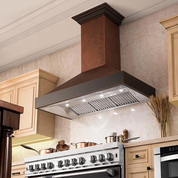 ZLINE Kitchen and Bath 30 in. 400 CFM Ducted Vent Wall Mount