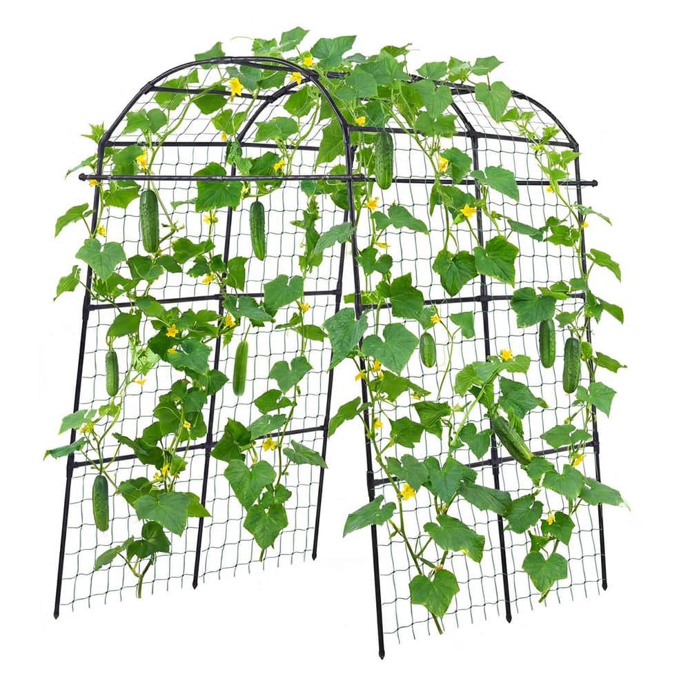 Cucumber Trellis, U-Shape Garden Trellises for Raised Bed, Metal Arch Plant Support for Vine, Peas, Zucchini price history on PriceWatchPro